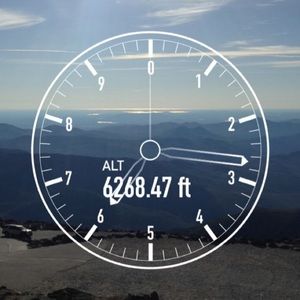 Meet your Posher, Jilly